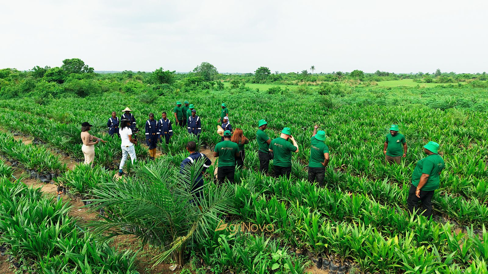 Nova Palm City Inspection Plantation